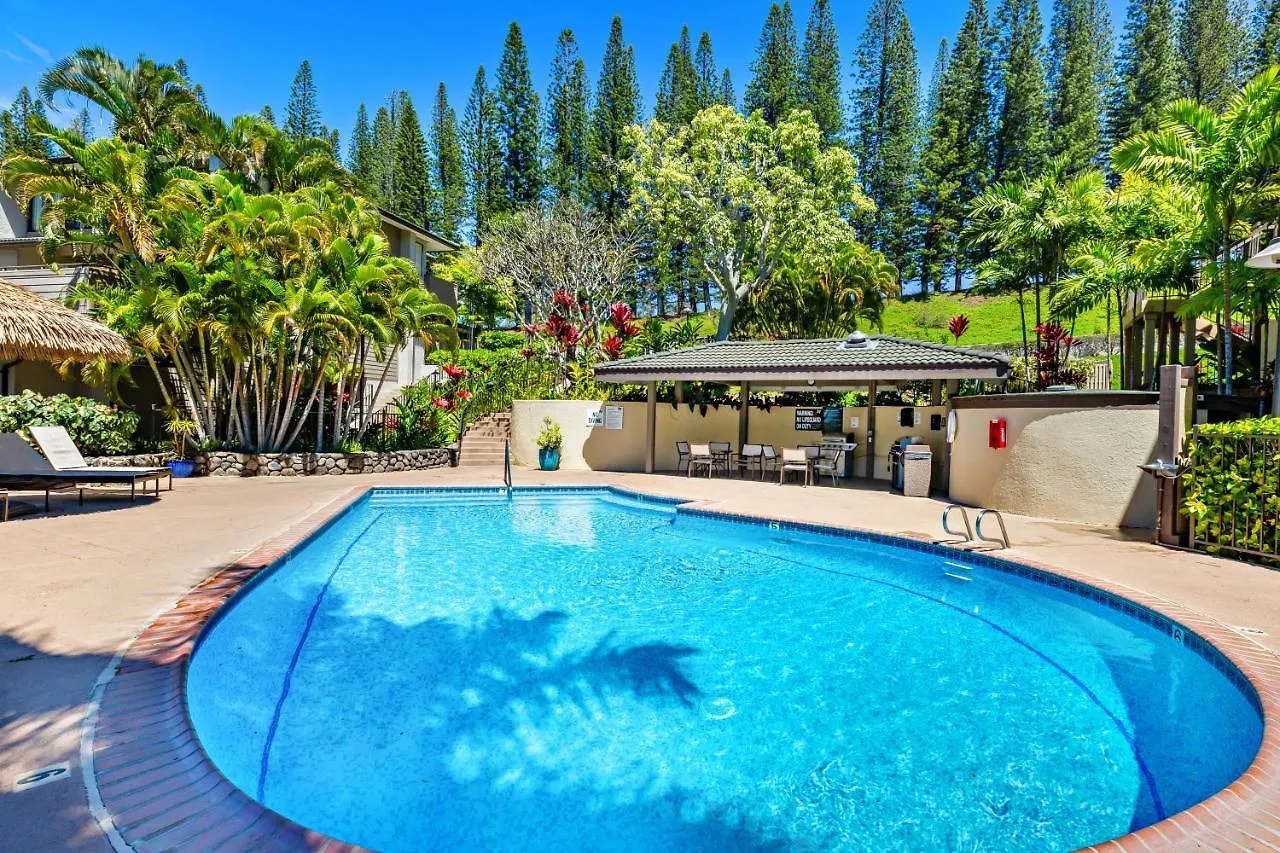 Kapalua Golf Villa 26P 5&6 Kahana Holiday home